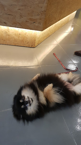 Foto 2 Padocão Maringá