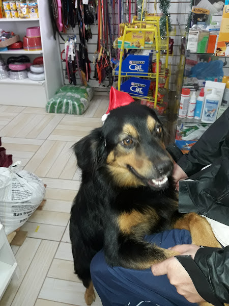 Foto 5 Pet Shop da Vera - Banho e Tosa