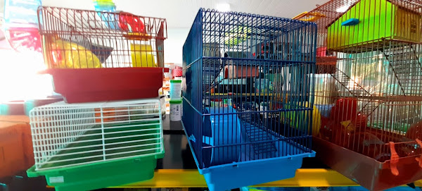 Foto 2 Pet Shop Azaleia