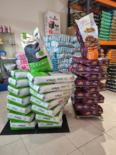 Foto 2 PetShop Banho e Tosa Meu Xodó Foto 2 PetShop Banho e Tosa Meu Xodó