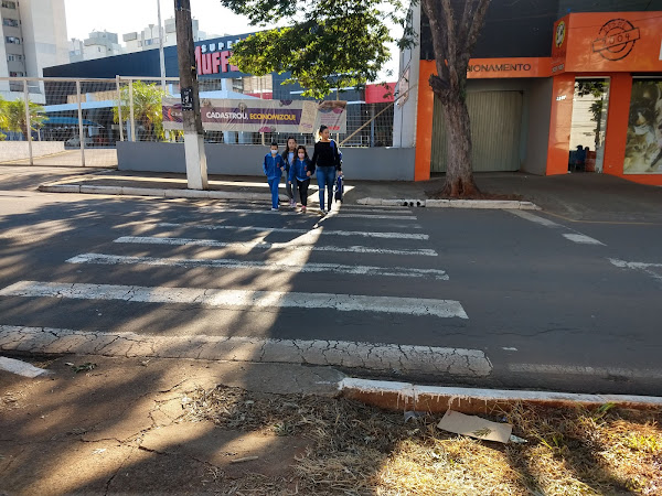 Foto 1 Pet Shop Toca do Bicho - Jd Novo Horizonte