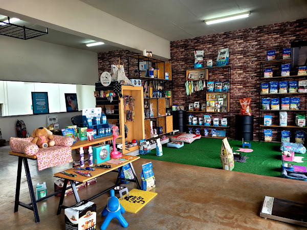 Foto 1 CARPE DIEM BEM ESTAR ANIMAL