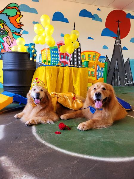 Foto 2 CARPE DIEM BEM ESTAR ANIMAL