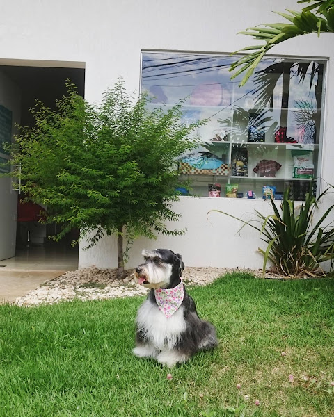 Foto 3 CARPE DIEM BEM ESTAR ANIMAL