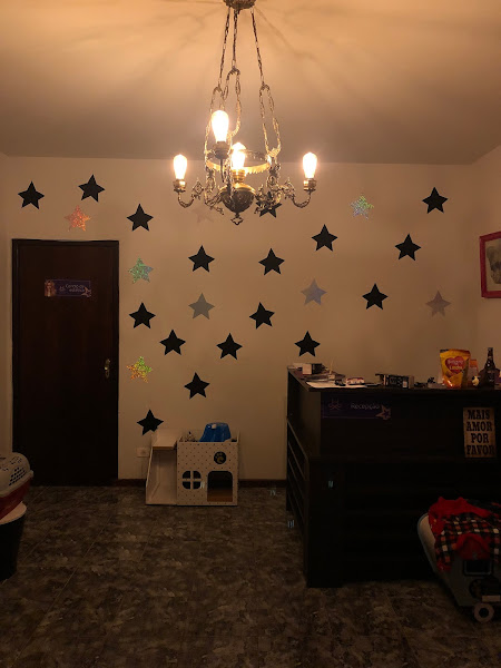 Foto 1 the dog pet club