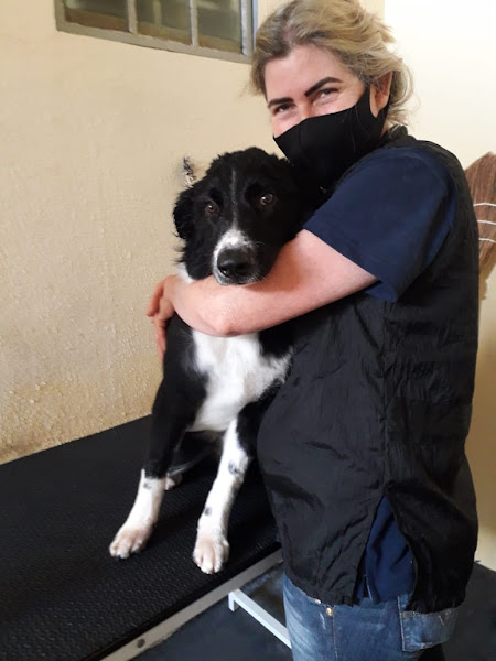 Foto 2 Cantinho do Pet Estética Animal Pet Store