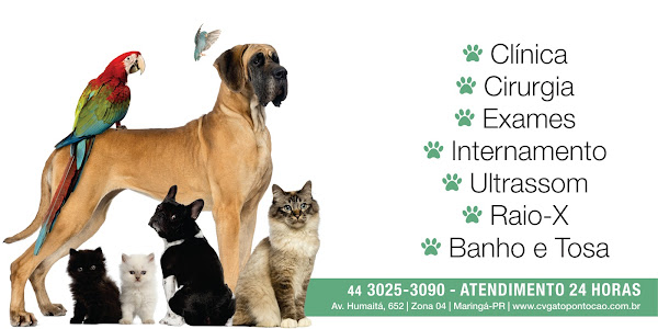 Gato Ponto Cão Clínica Veterinária e Pet Shop