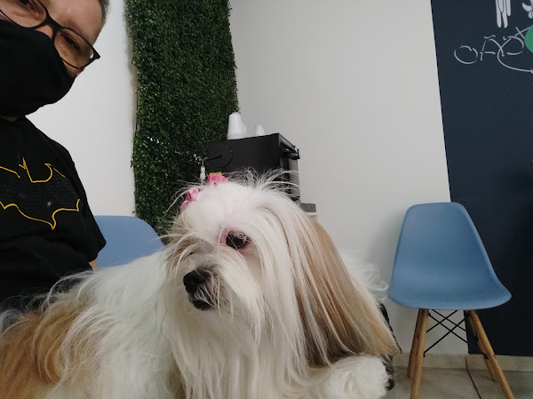 Foto 2 Gato Ponto Cão Clínica Veterinária e Pet Shop