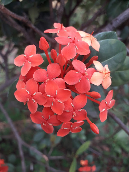 Foto 3 COVIPAR Comércio de Vidros e Espelhos