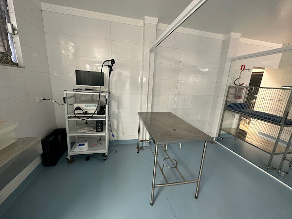 Foto 1 Clínica Veterinária Saúde Animal