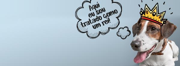 Foto 4 ProntoDog & Cat Clínica Veterinária