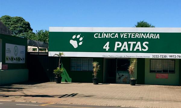 Clínica Veterinária 4 Patas Clínica Veterinária 4 Patas