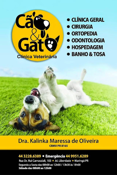 Foto 3 Clínica Veterinária Cão & Gato - Dra Kalinka