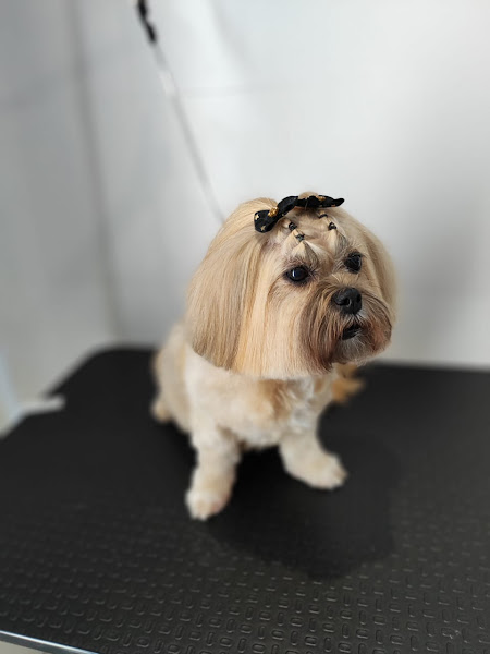 Foto 2 Animed Maringá