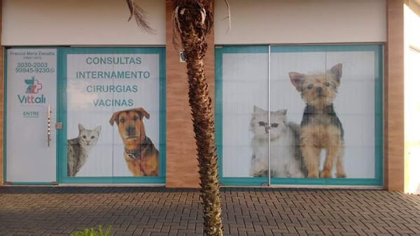 Foto 1 Clinica Veterinária Vittali