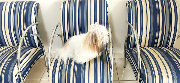 Foto 3 Convet Maringá