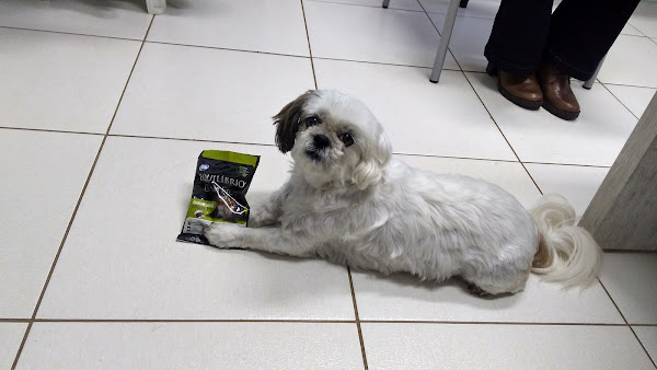 Foto 2 Inga Care Clínica Veterinária 24h