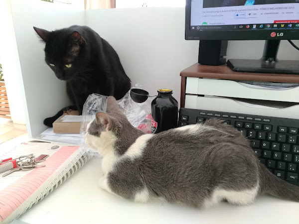 CLÍNICA VETERINÁRIA MED PET DRª VÂNIA HAMESSI