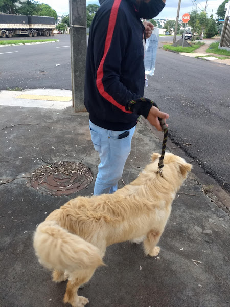 Foto 2 CLÍNICA VETERINÁRIA MED PET DRª VÂNIA HAMESSI