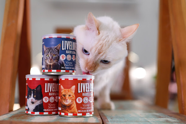 Foto 1 Patas da Terra Clínica Veterinária e Pet Shop