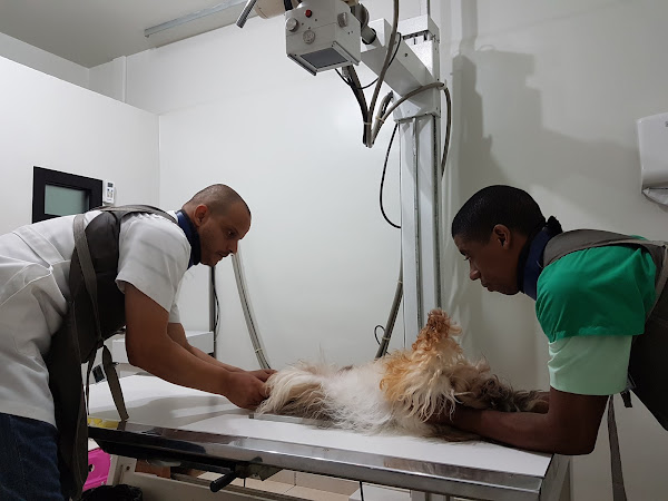 Foto 2 CDVET - Centro de Diagnóstico Veterinário