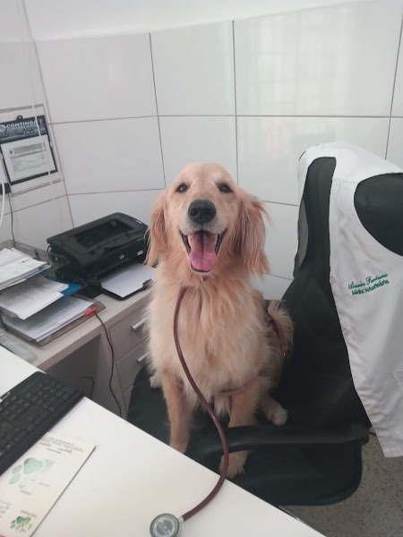 Foto 2 Pets & Vets Clínica Veterinária