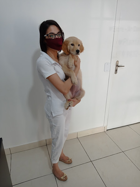 Foto 1 Amor Por Patas Clínica Veterinária