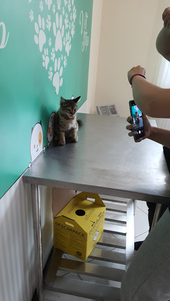 Foto 1 VETSTOP clínica veterinária