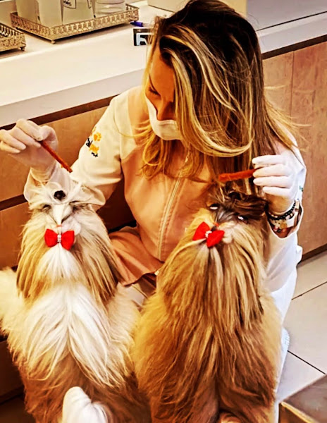 Foto 3 Portal Pet Vet - Clínica Veterinária