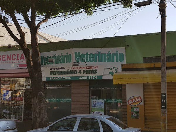 Veterinário 4 Patas