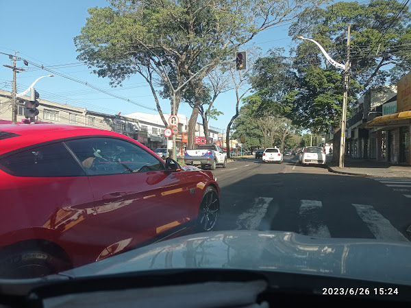 Foto 2 Veterinário 4 Patas