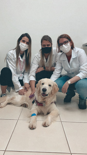 Foto 1 Laboratório São Camilo Veterinária - Pet