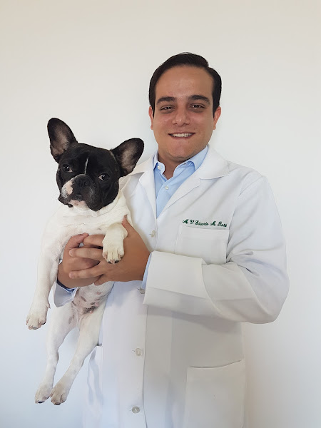 Rossi Medicina Veterinária