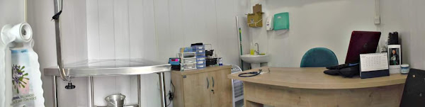 Consultório Veterinário Dra Dafne R. Barros