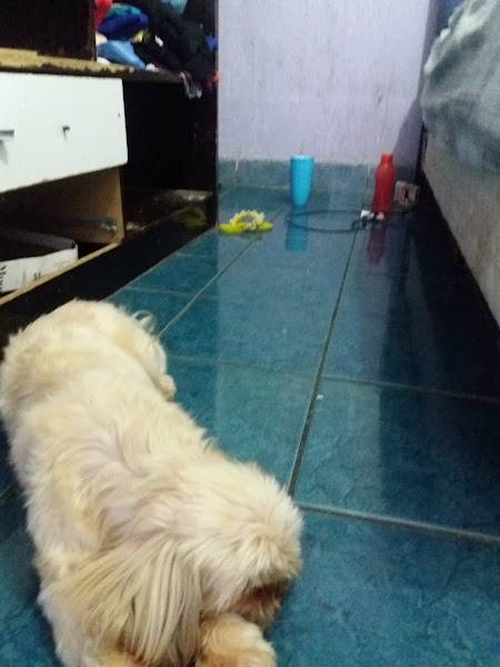 Auto Mecânica Funilaria Pintura