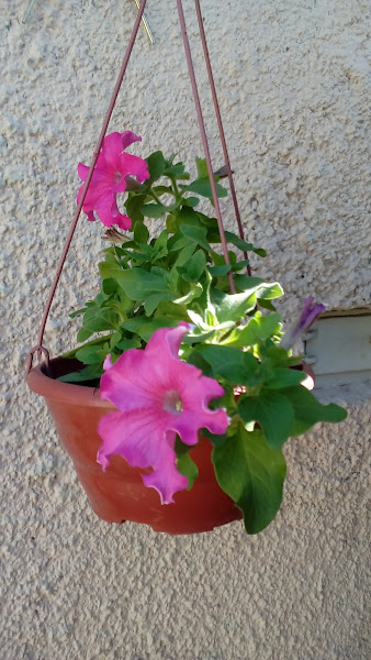 Foto 1 Mecânica Santo Antônio