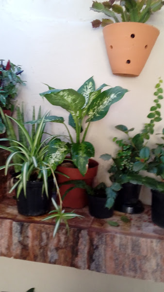 Foto 2 Mecânica Santo Antônio