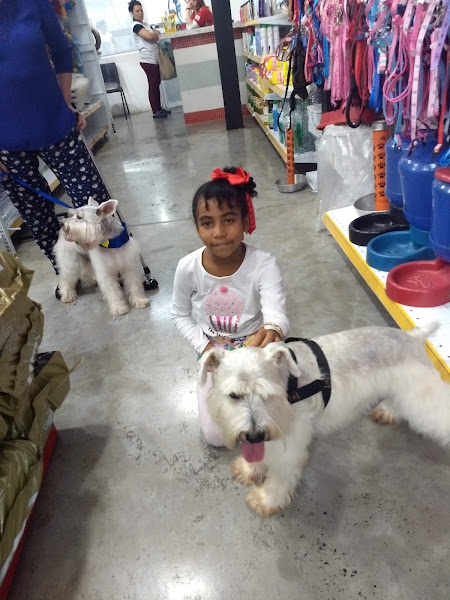 Foto 2 Animal Center - Norte Sul