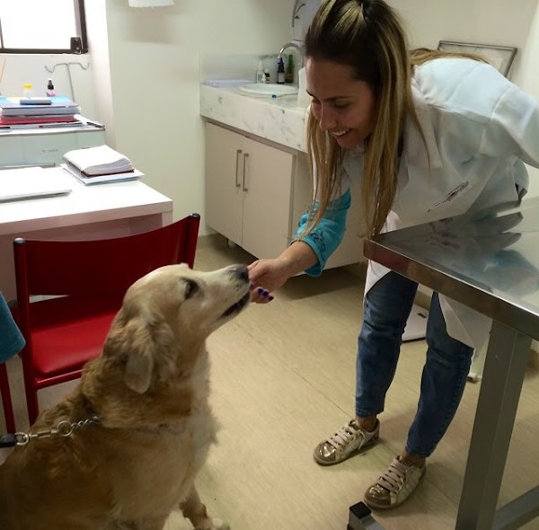 Foto 4 Animal Center - Norte Sul