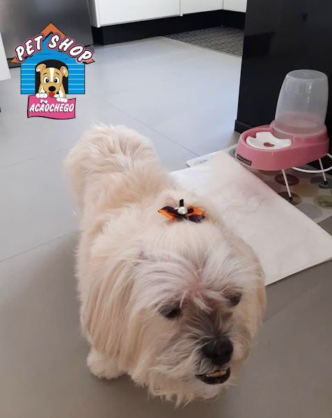 Foto 2 Pet Shop Acãochego