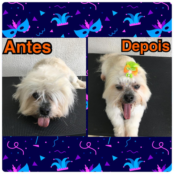 Foto 3 Petshop Taquaral