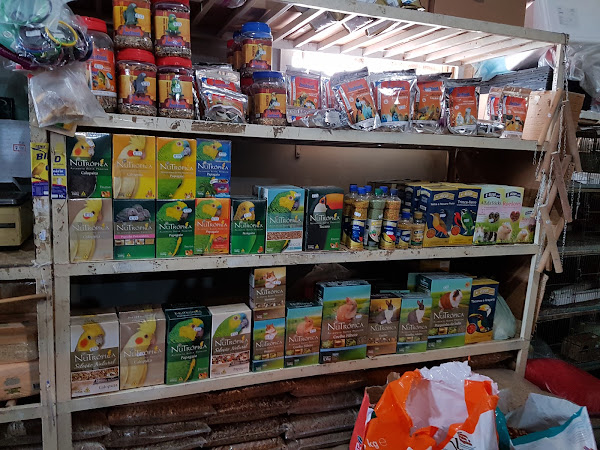 Foto 5 Aboli - Kão Pet Shop