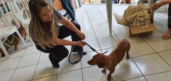 Foto 1 Doglândia e Vet Terapia