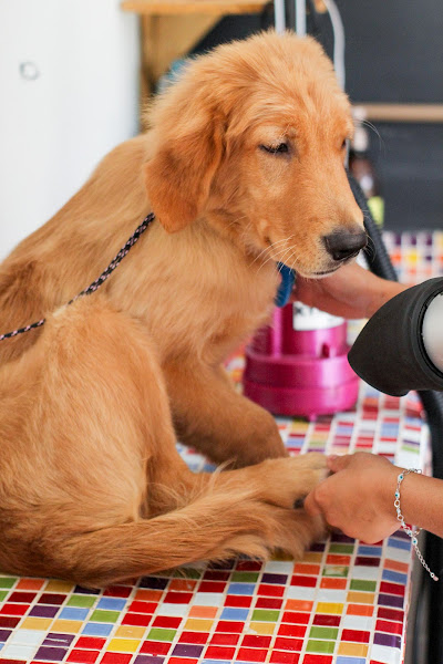 Foto 6 NaturalEco Pet Shop