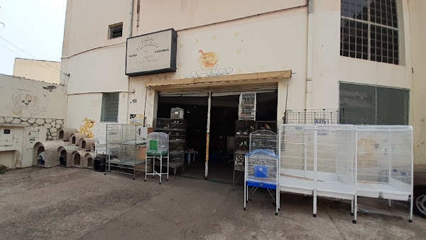 Pet Shop Bicho Travesso Pet Shop Bicho Travesso