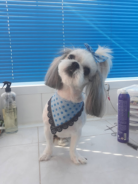 Foto 5 Pet Shop Rhodia