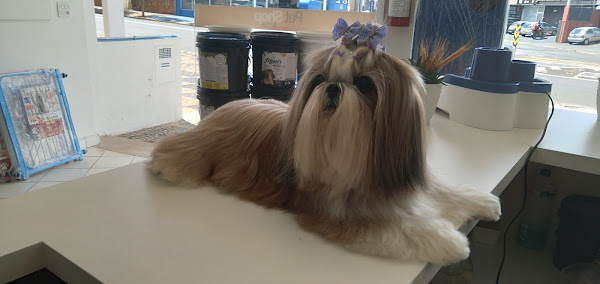 Foto 3 Pet Shop & Cia - Taxi Dog