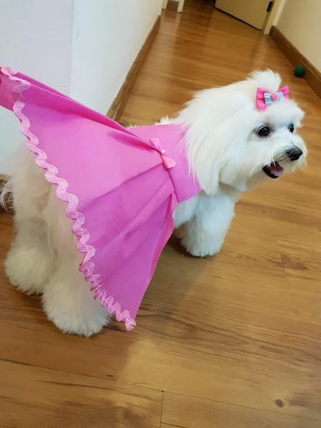 Foto 2 Plus Pet Store