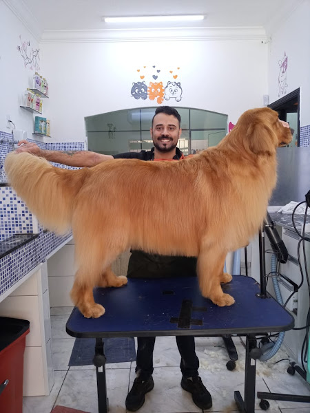 Foto 4 Plus Pet Store