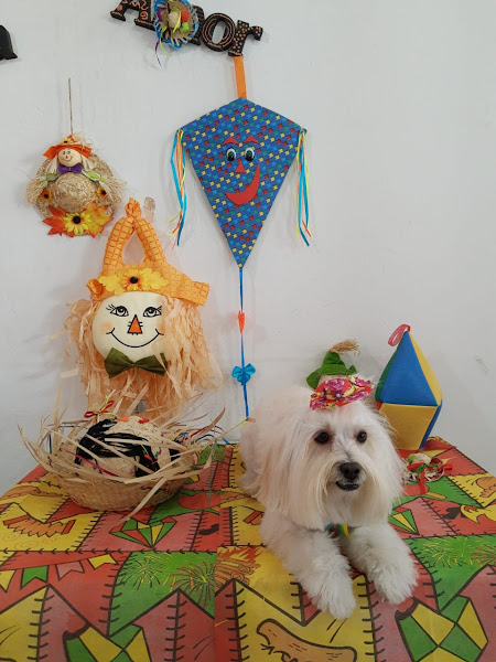 Foto 5 Plus Pet Store